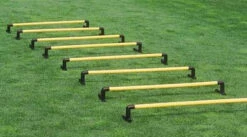 Hürde 20 Cm Für Das Saller Hürden System