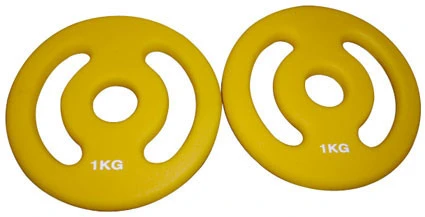 Gewichtscheibenpaar (2 X 1 Kg)