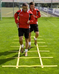 Linien-Koordinations-System