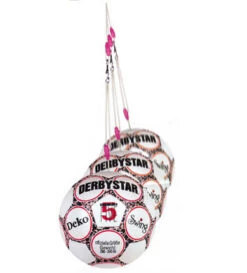 Derbystar Peter Schreiner Swingball