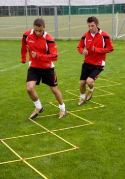 Saller Scherensystem