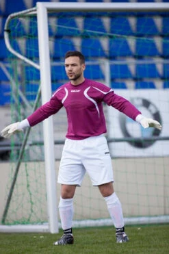 TW-Pulli »SallerTitan«